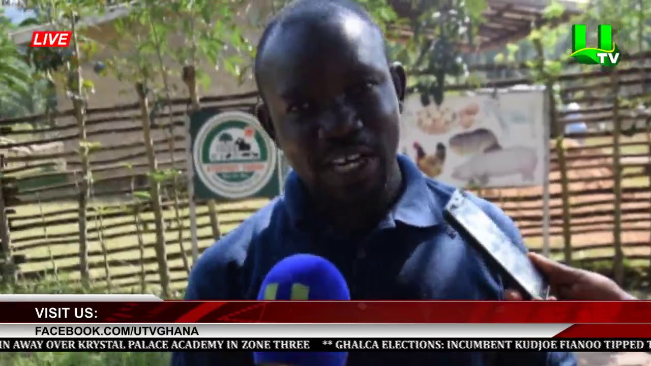 Oti Region: Poultry Farmers Cry To Government For Support