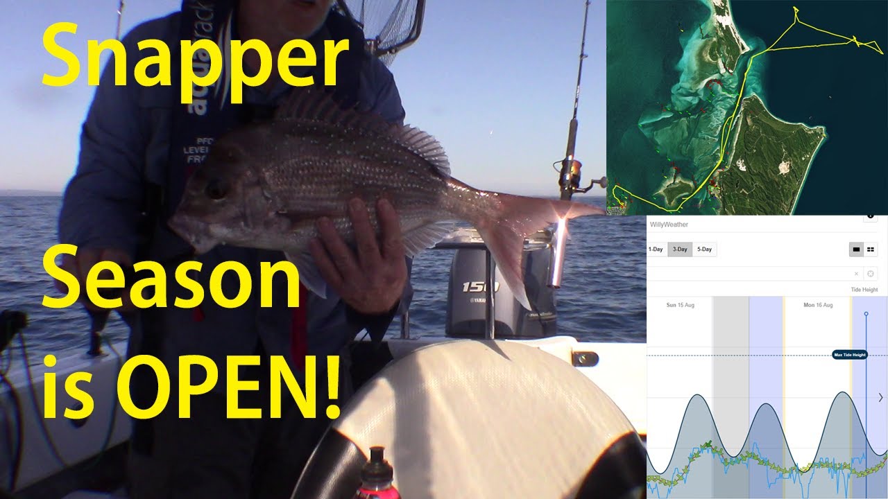 Snapper Season is OPEN!