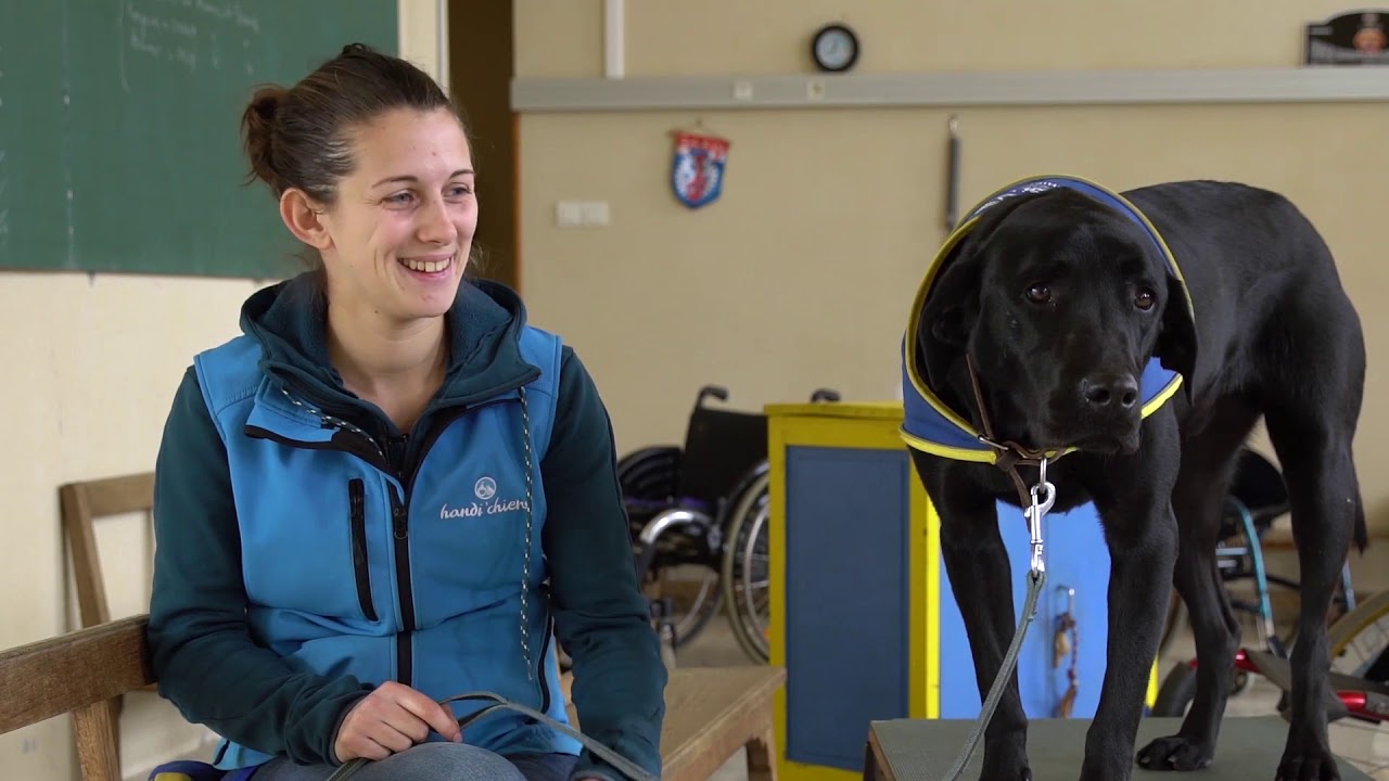 Le Fonds Solidaire MAIF avec Handi'Chiens