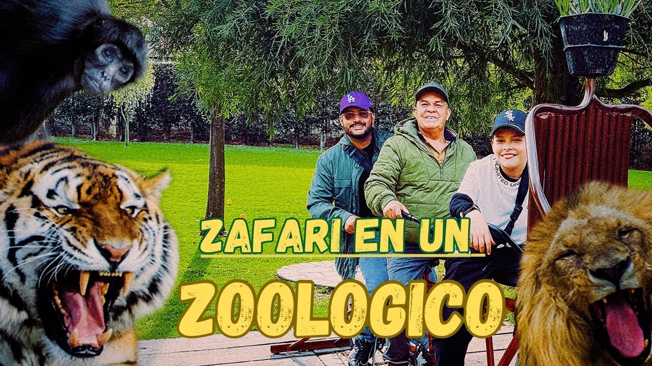 ZAFARI en ZOOLOGICO - LOS CULEBREROS
