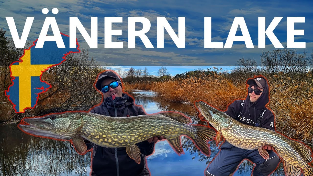 CHYTÁNÍ ŠTIK VE ŠVÉDSKU NA JEZEŘE VANERN / PIKE FISHING ON THE VANERN LAKE