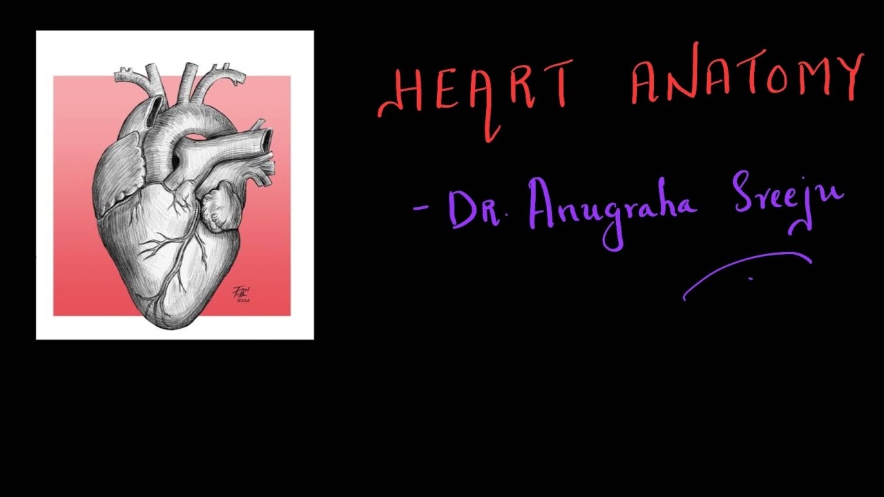 HEART ANATOMY FOR PARAMEDICAL COURSES AND NURSING STUDENTS  (MALAYALAM)