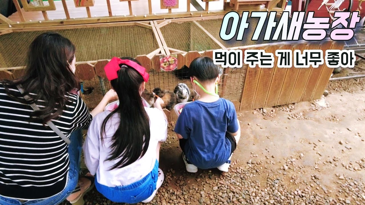 아빠, 아가새농장 가고 싶어!! (221003 홍성 아가새농장)