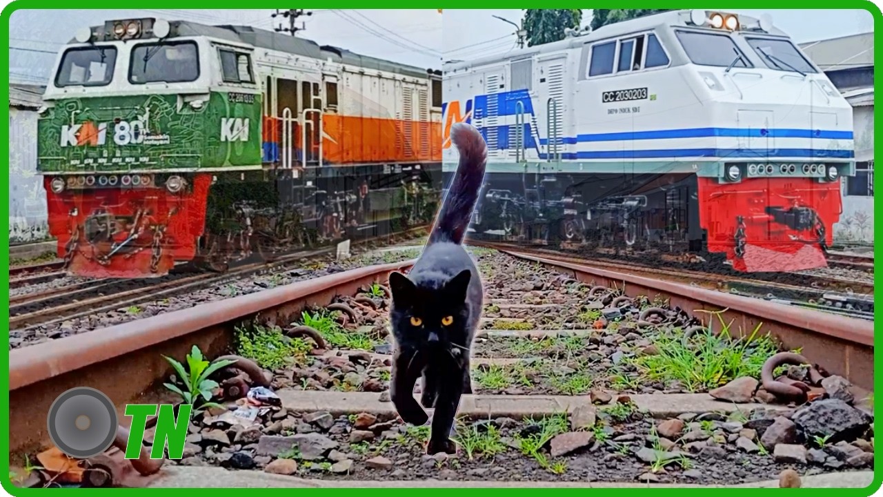 Railway Traffic: A Precious Moment at Singosari Station