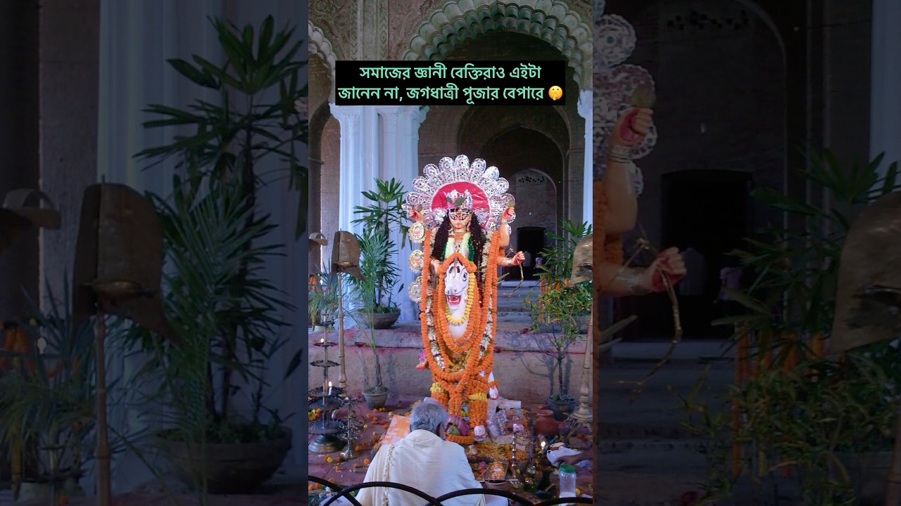 krishnanagar rajbari jagadhatri puja history & chasapara burima vs chandannagar lighting #puja