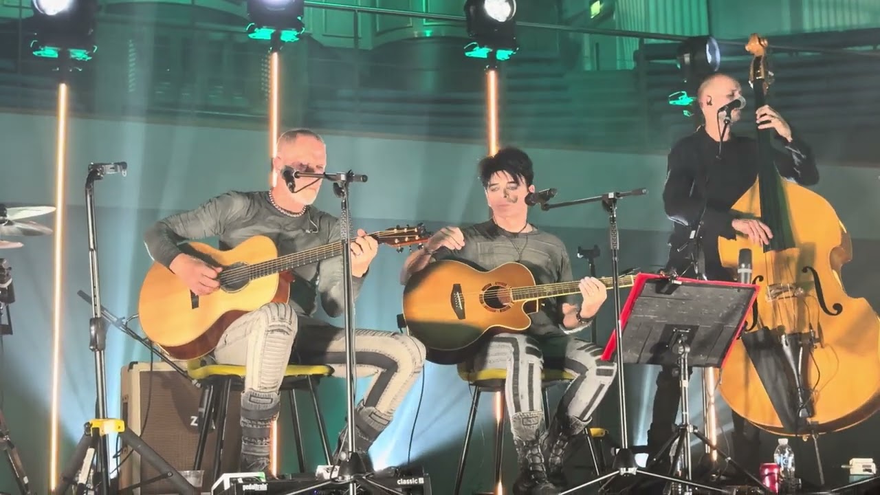 Gary Numan Acoustic Tour - Birmingham Town Hall - Down in the Park