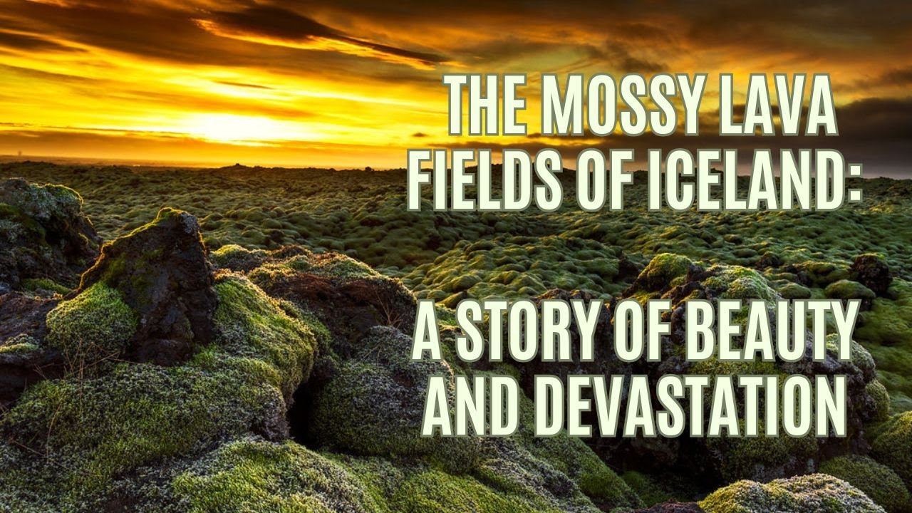 The Mossy Lava Fields of Iceland: A Story of Beauty and Devastation