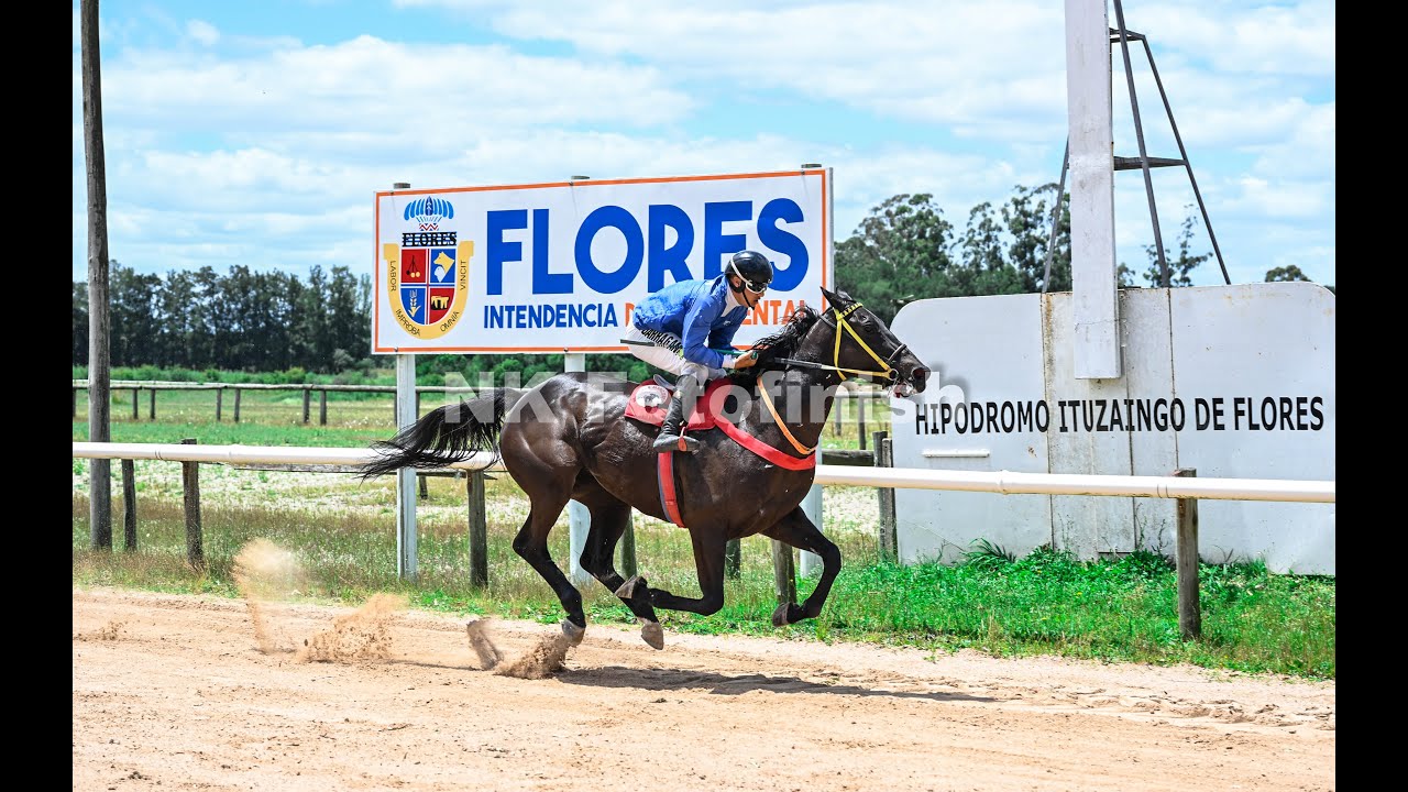 INDIANA OK-Carrera 1.100mts- Flores