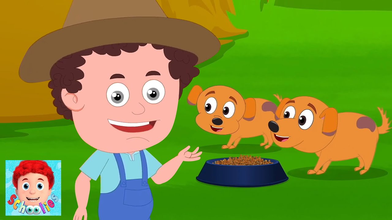 Schoolies | Old MacDonald Avait une Ferme 🐮🎵 Chanson pour Enfants