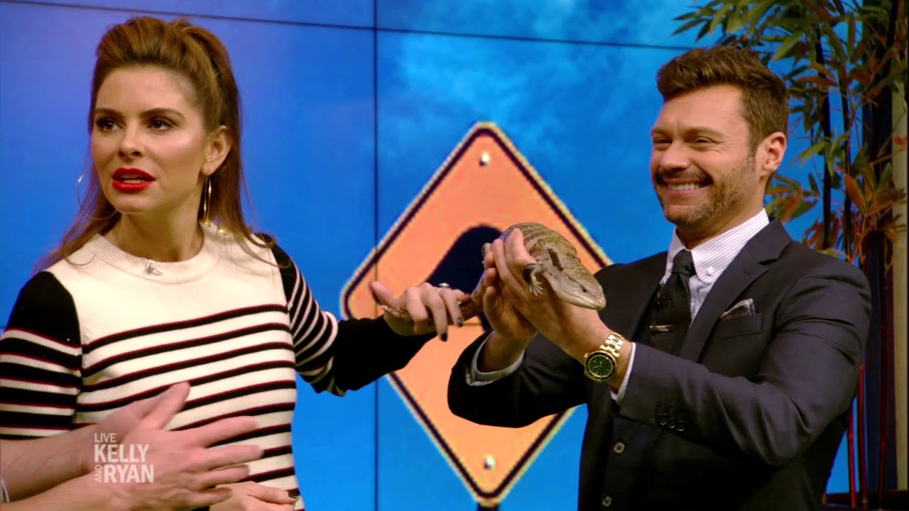 Australian Animals with Rick Shwartz