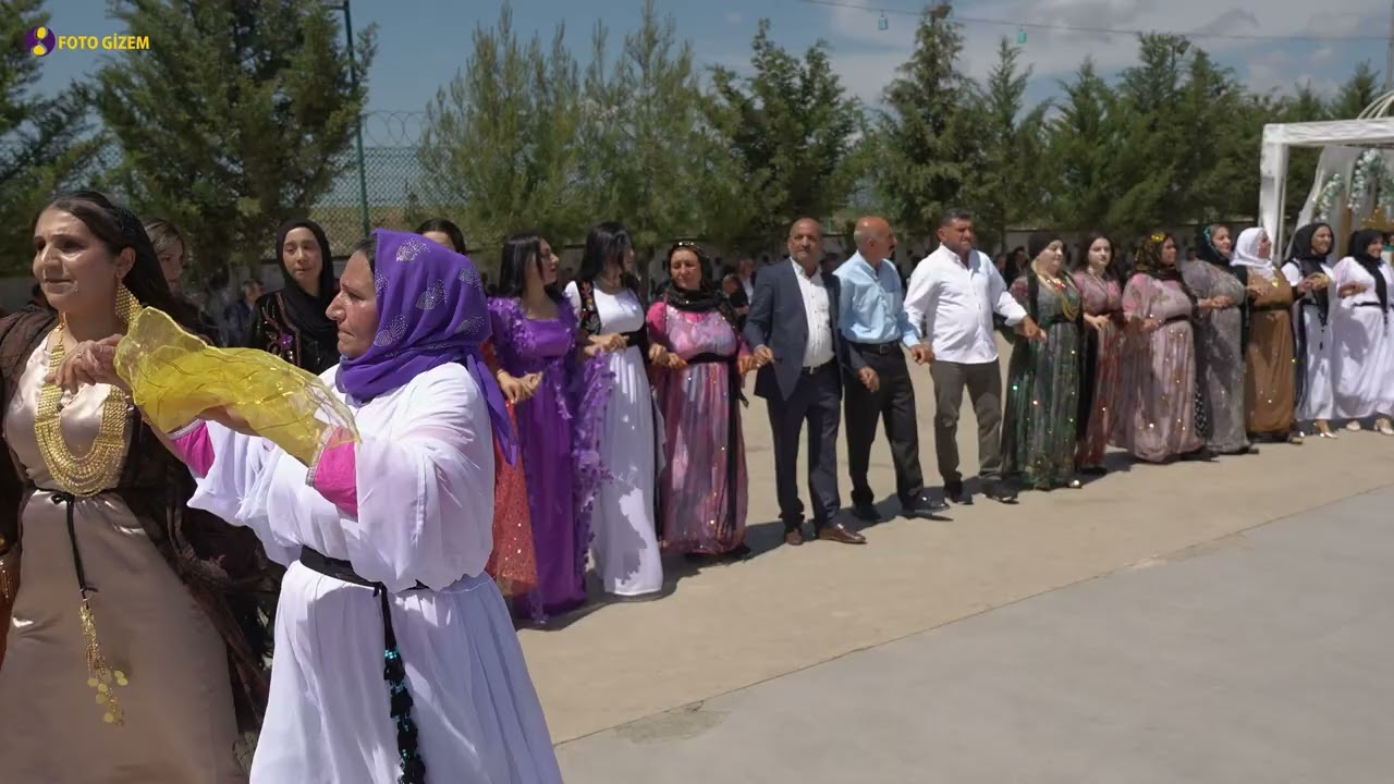 Muhammed Dayan Düğünü Part 4 / Foto Gizem