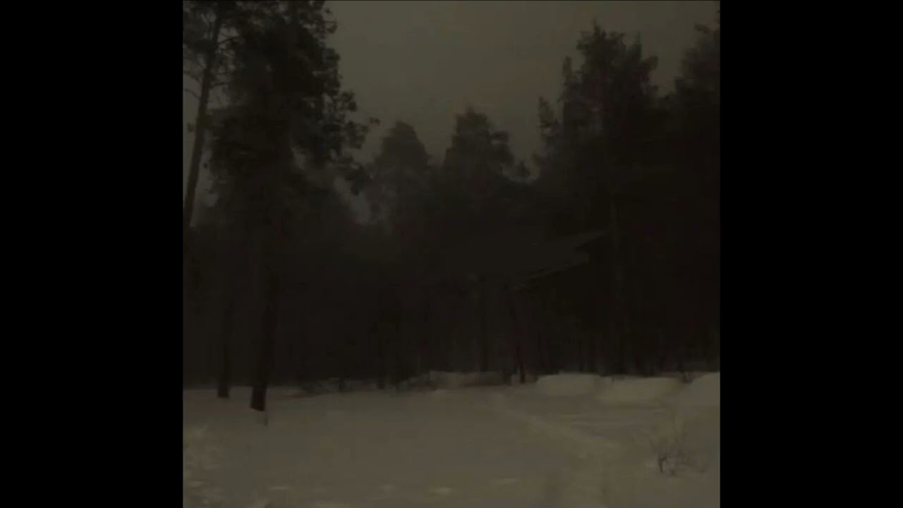 Раковая выхухоль-Cтрашный сон 2(slowed+reverb)