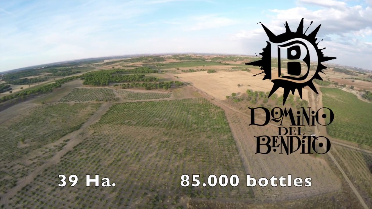 Dominio del Bendito, D.O. Toro, Spain. Vineyards and Drone