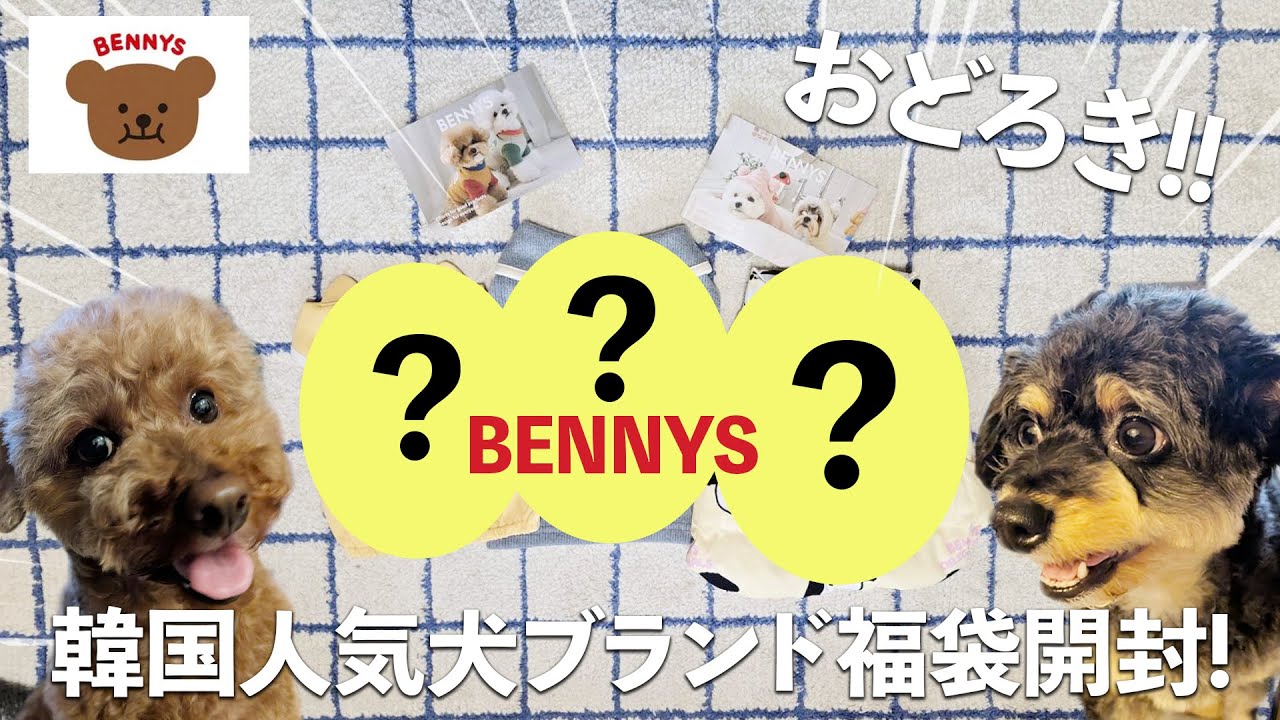 【犬の福袋2026】韓国発大人気ペットブランドBENNYSの福袋を開封!!驚きの連続でみんな大興奮!!
