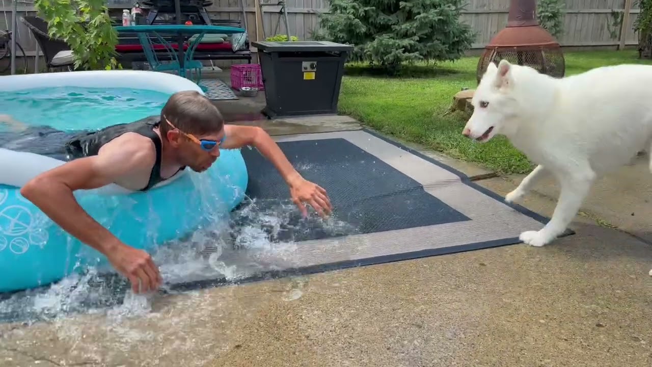 Does Husky Rescue Pool Boy? 🤣Hilarious Ending 😆