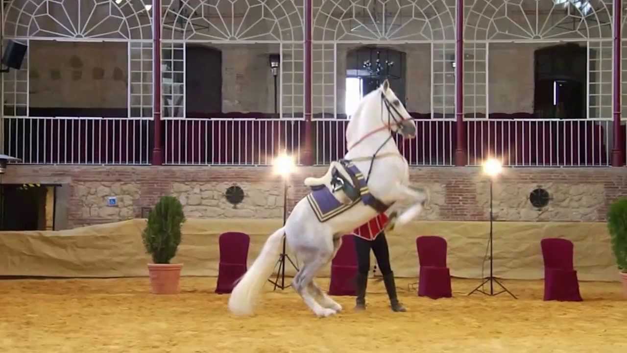 Cordoba Ecuestre