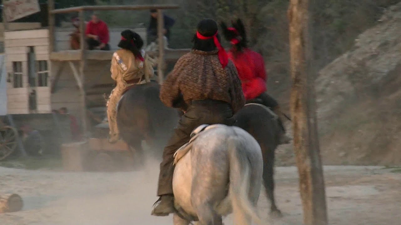 15.8.2019:  Die Pferde ...