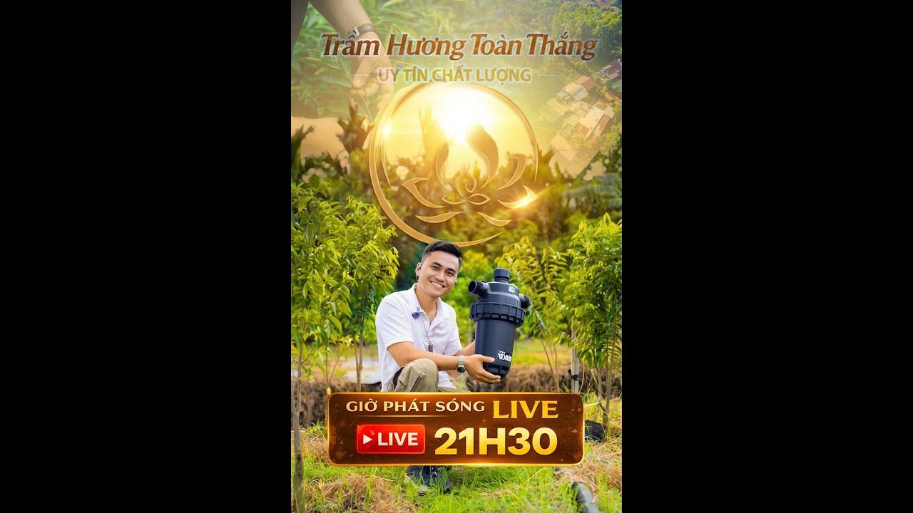 Trầm Hương Toàn Thắng Đang Phát Trực Tiếp 21H30 - Agarwood