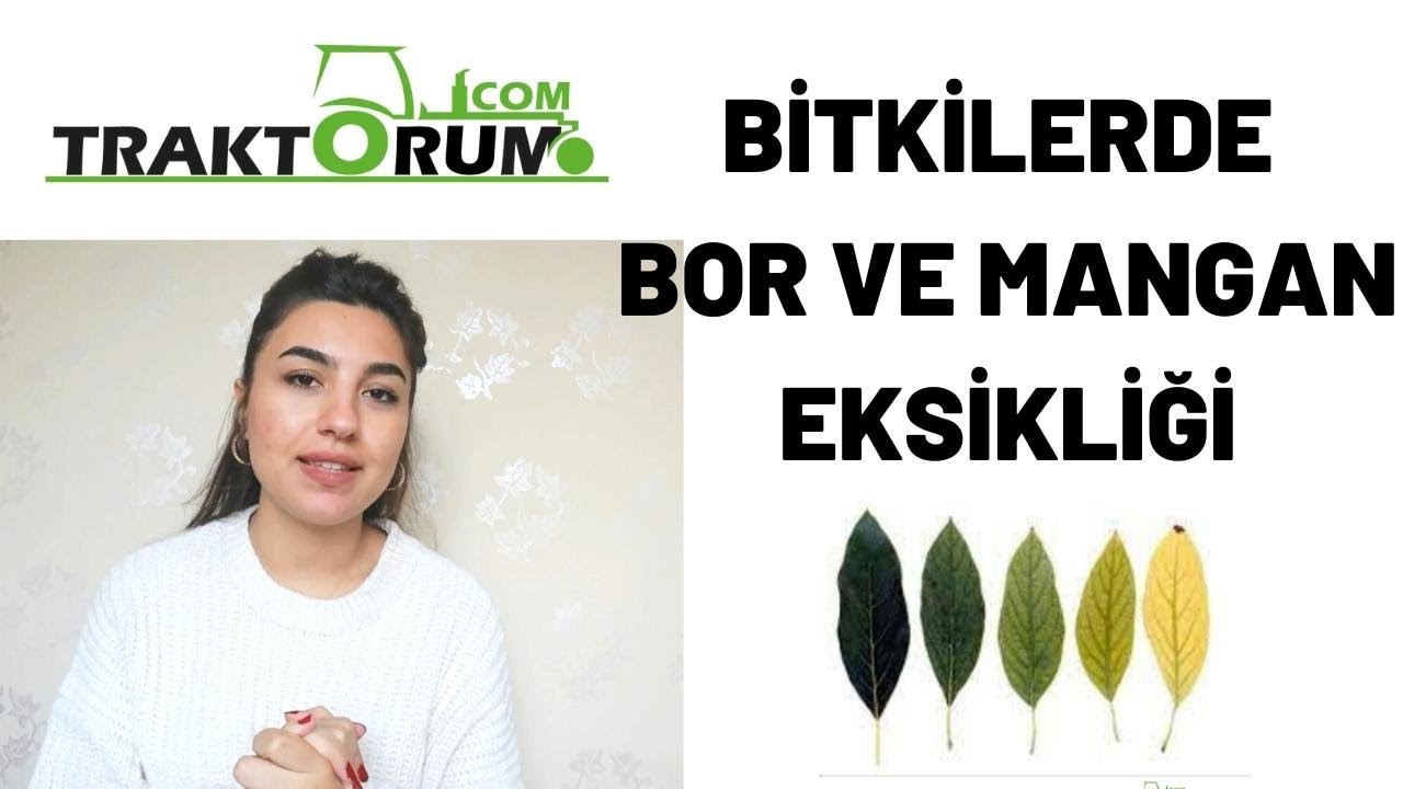 Bitkilerde Bor ve Mangan Eksikliği