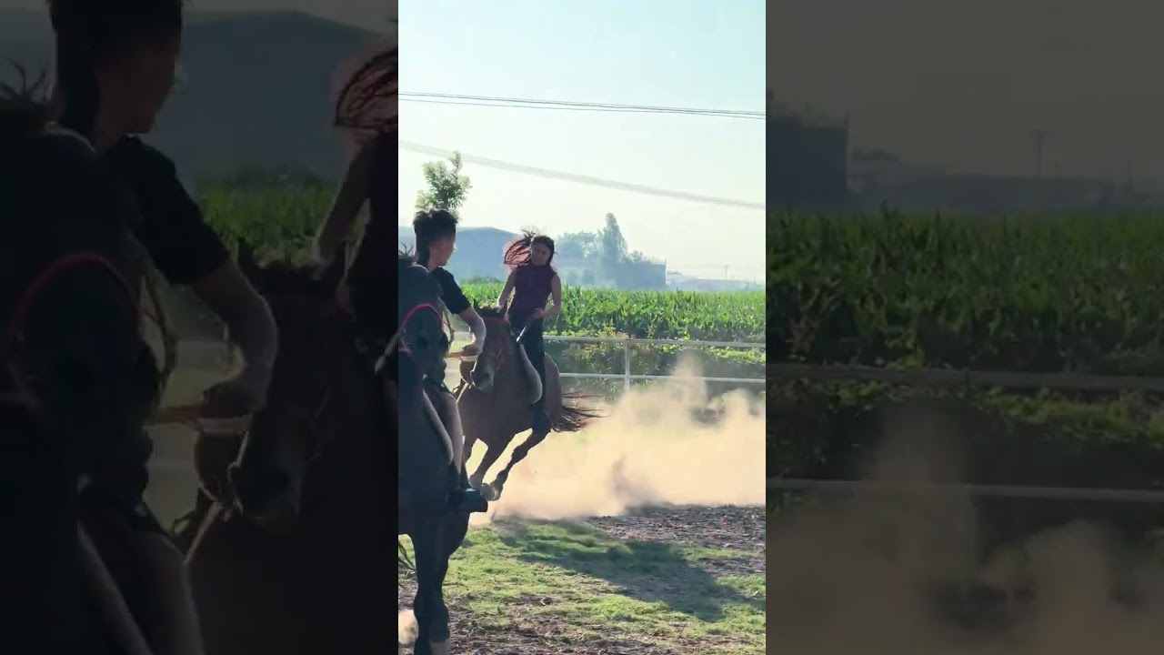 Woman loses control during horse ride, crashes into railings in Shandong, China