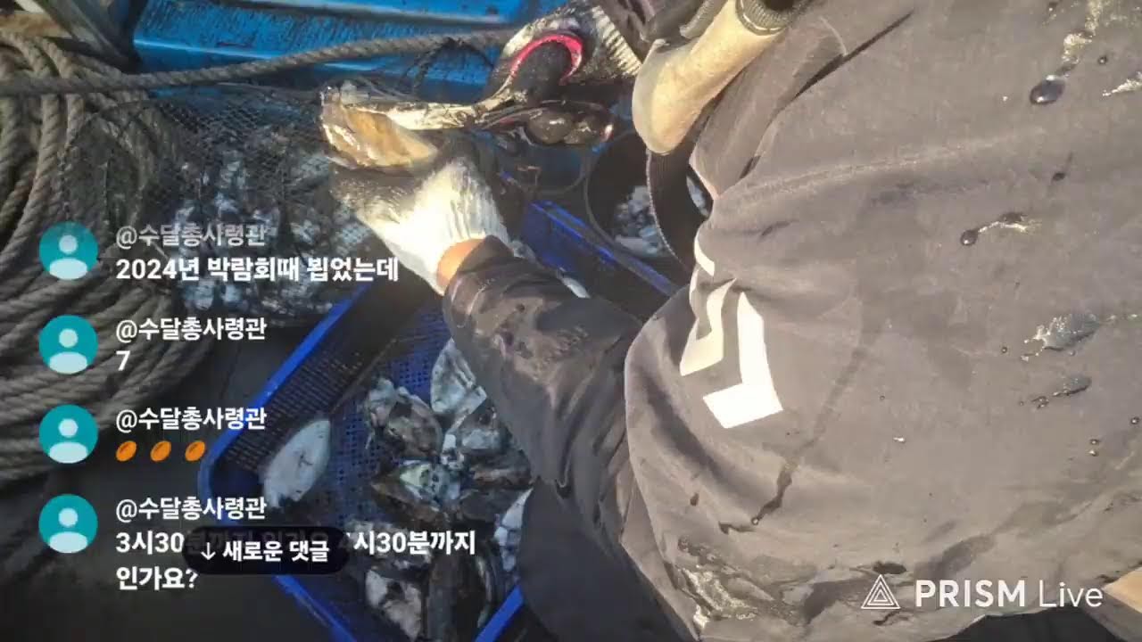 제주심해 갑오징어 라이브 _ 2026.1.17 (한림항 서부호)