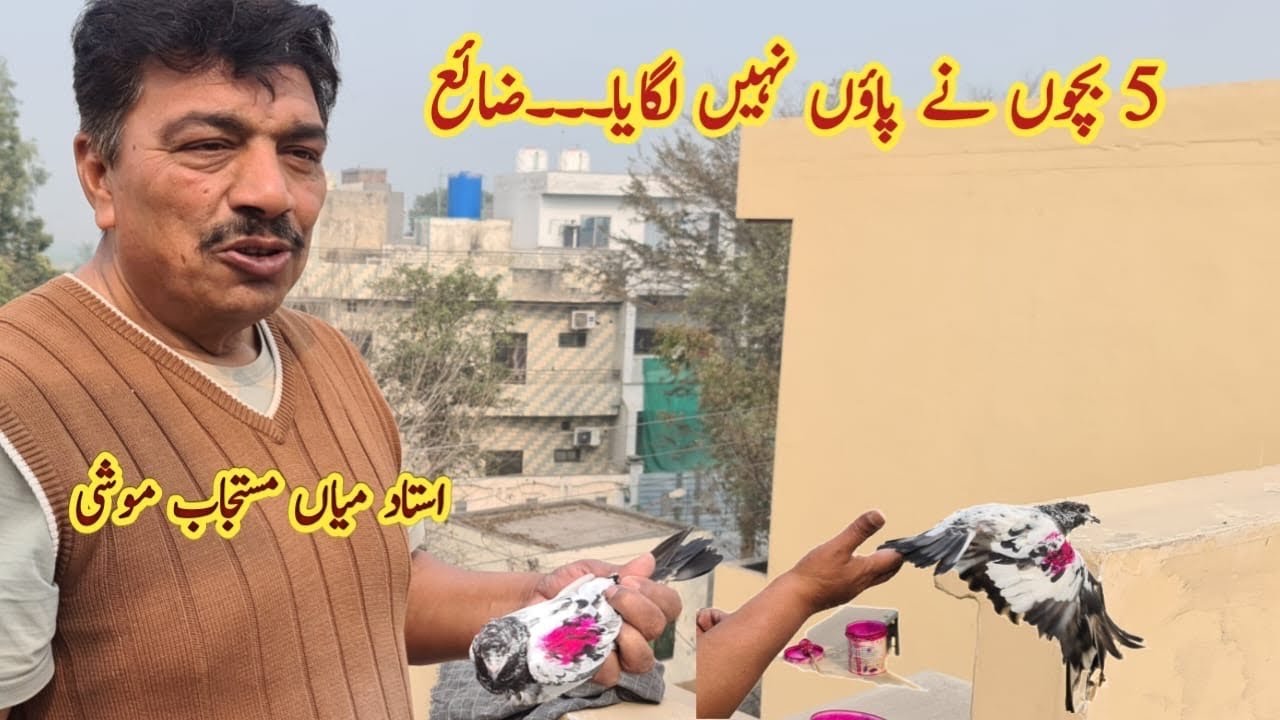New Parwazi Bachay Rung k chor diye, 5 nh aye. Ustad Mian Mustajab Moshi