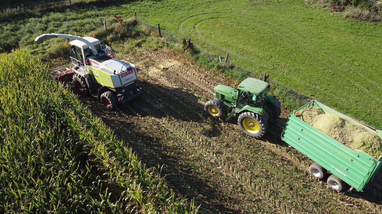 Maish&auml;ckseln mit Claas Jaguar und  8 Reiher Schneidwerk