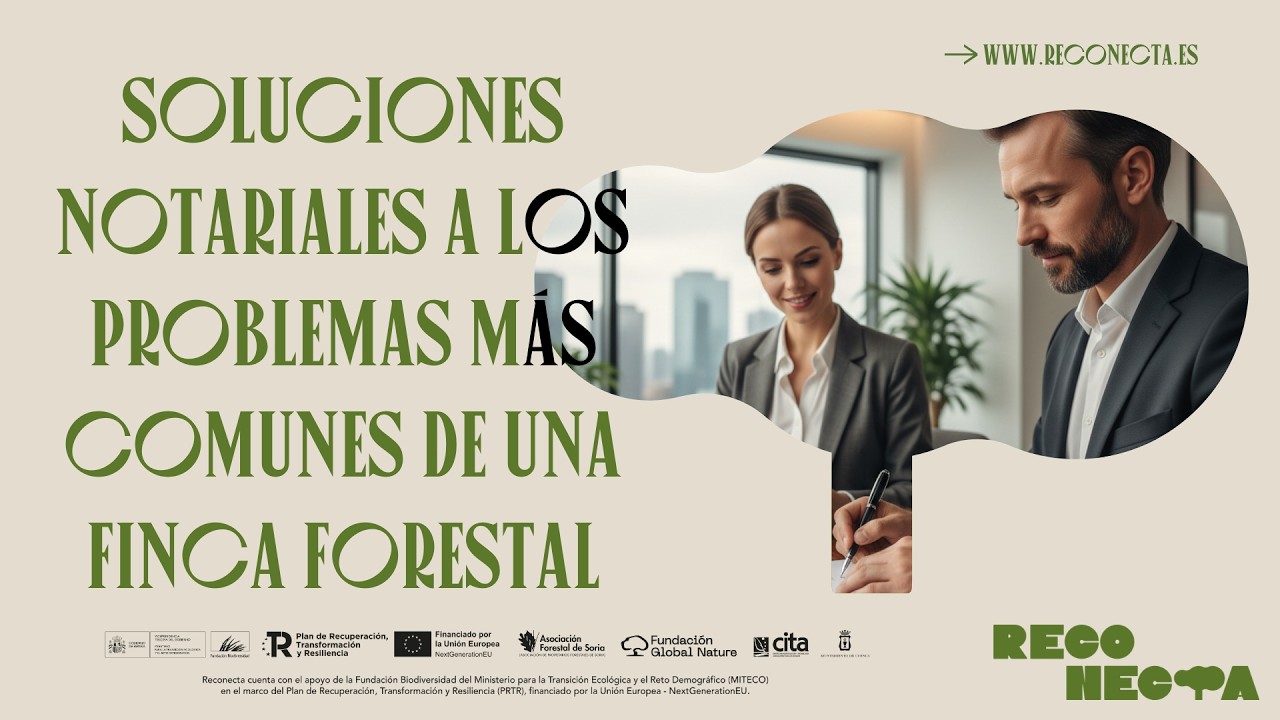 Soluciones notariales a los problemas más comunes