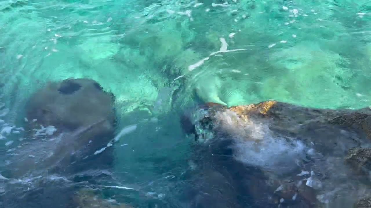 Kaş Antalya Turkey Sea Waves with Sounds | 4K | No Music | 1 Hour