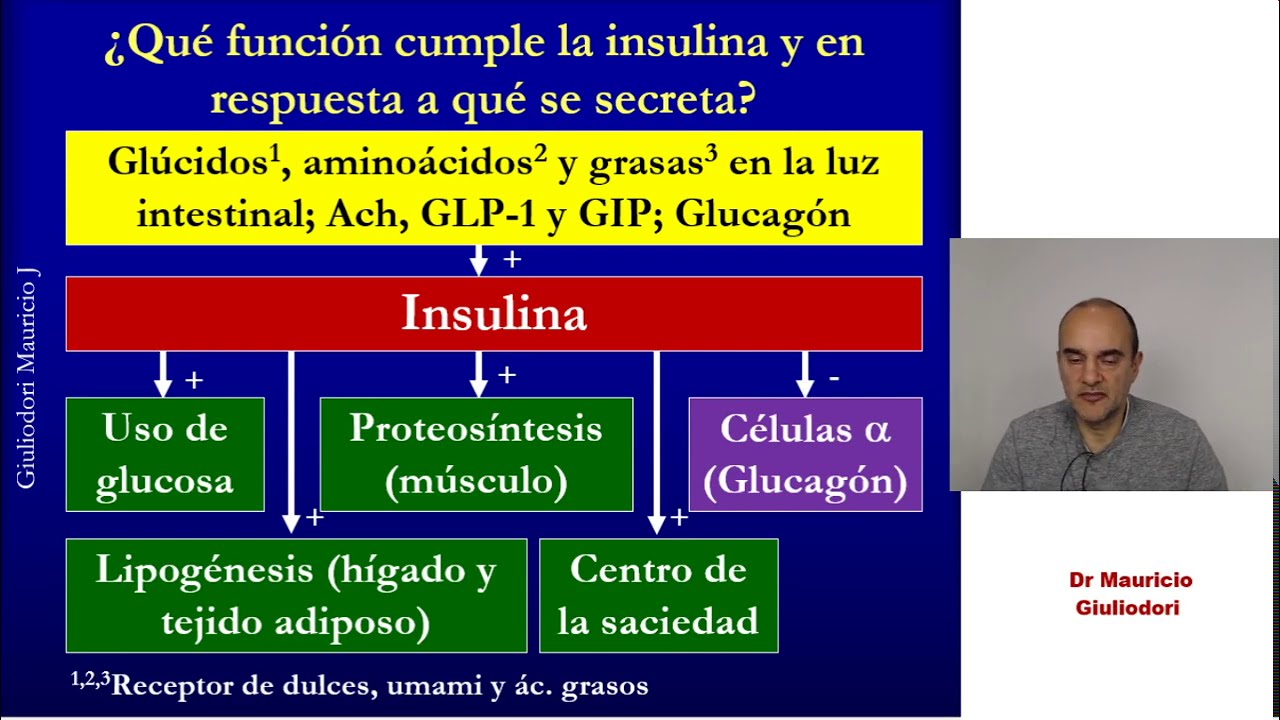 El gusto y los quimiorreceptores intestinales: importancia en la fisiología digestiva y metabólica