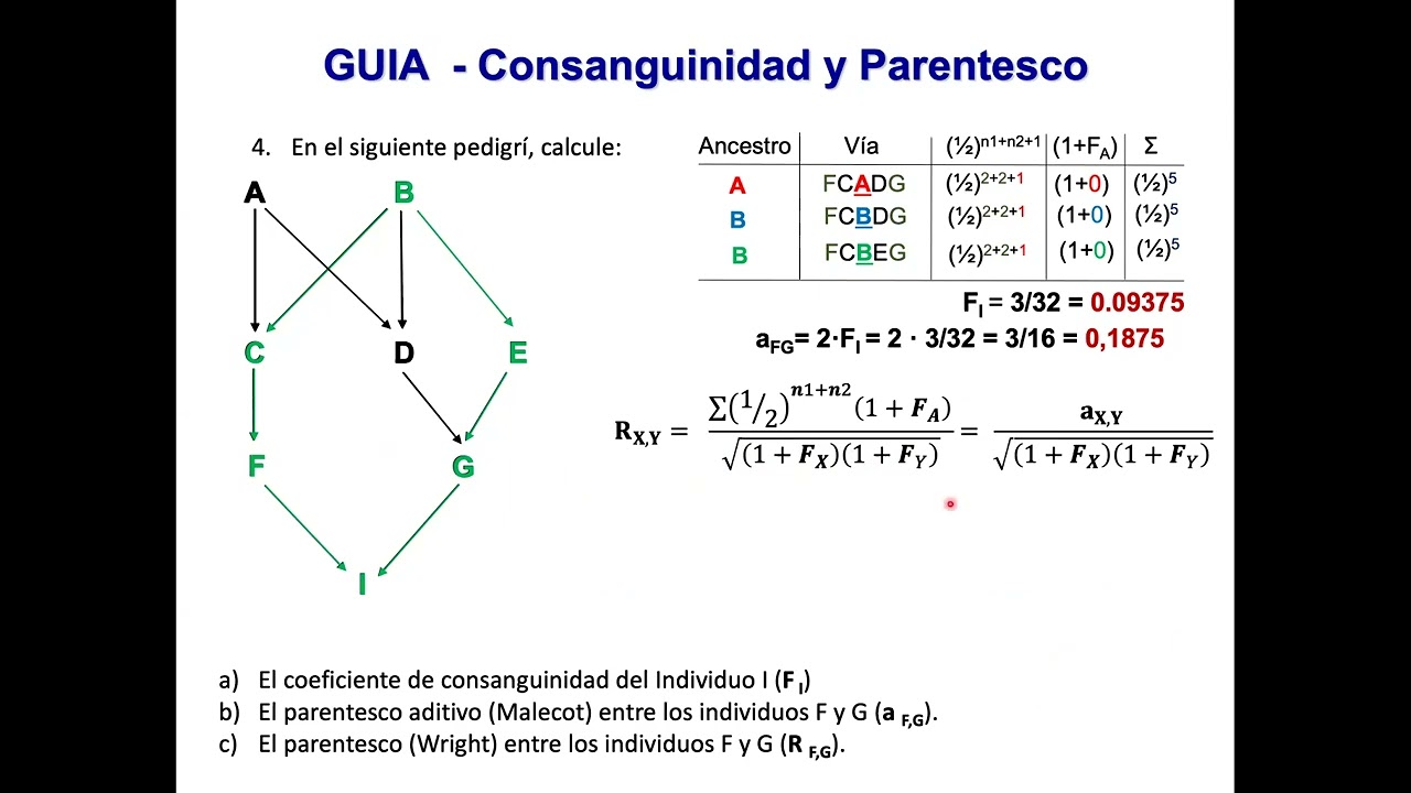 Ejercicio4 Consanguinidad