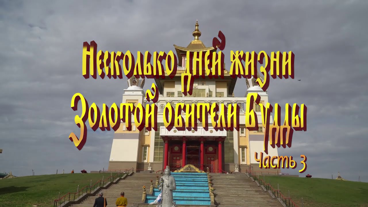 Несколько дней жизни 