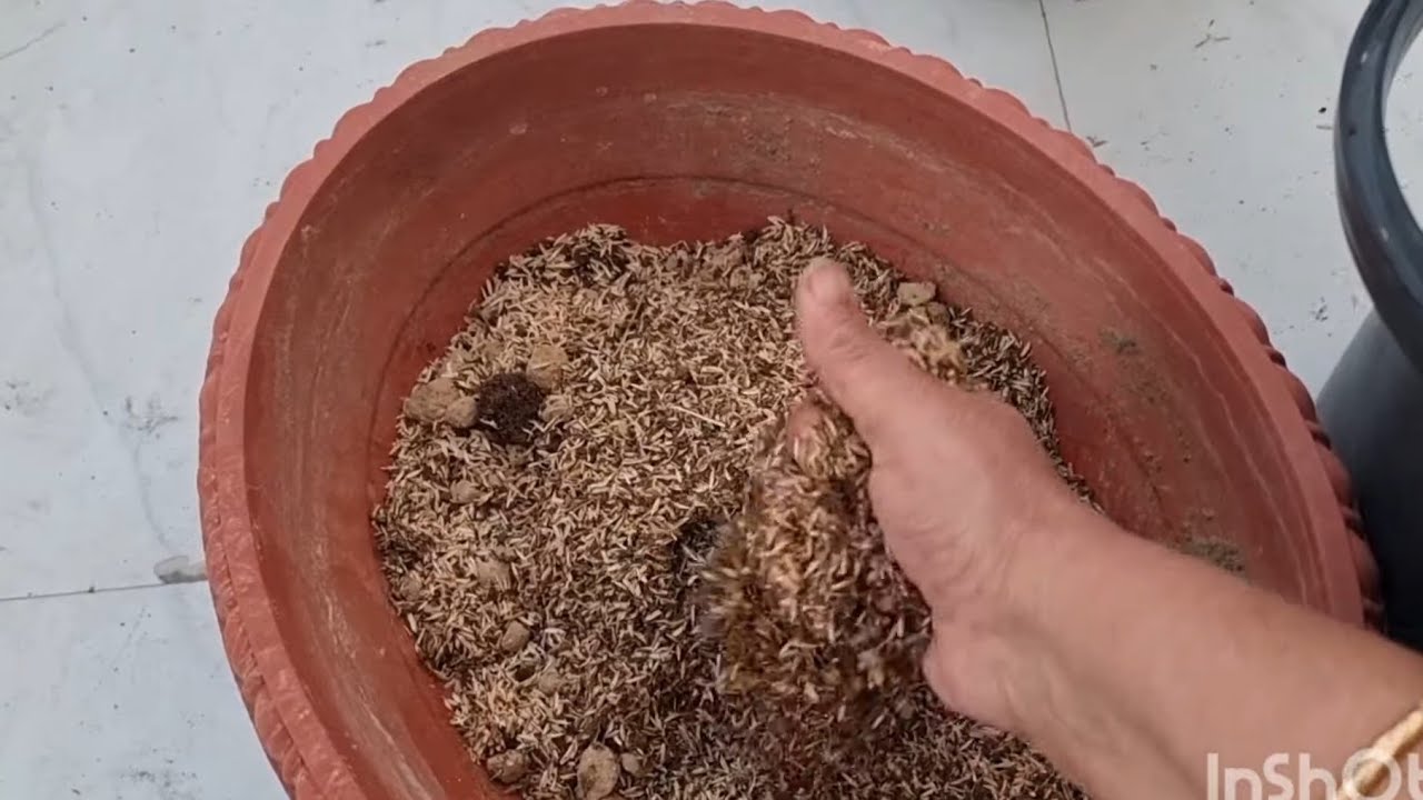 How to Make Light Soil Mix WITHOUT Cocopeat || Best Soil for Hanging Baskets || Fun Gardening