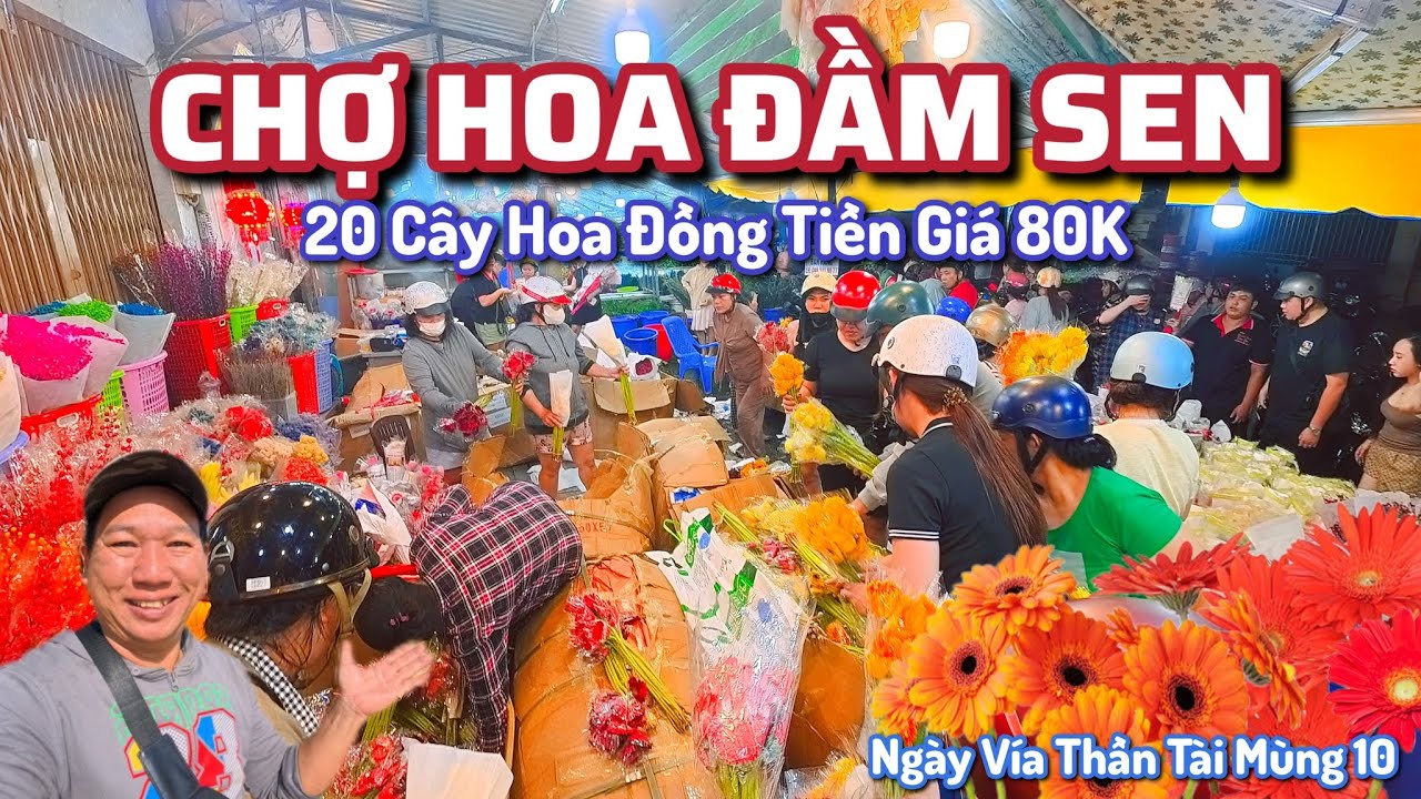 Chợ Hoa Đầm Sen nhộn Nhịp Ngày Vía Thần Tài Mùng 10, Hoa Đồng Tiền 80K/20 Cây Đẹp, Rẻ, Tươi.