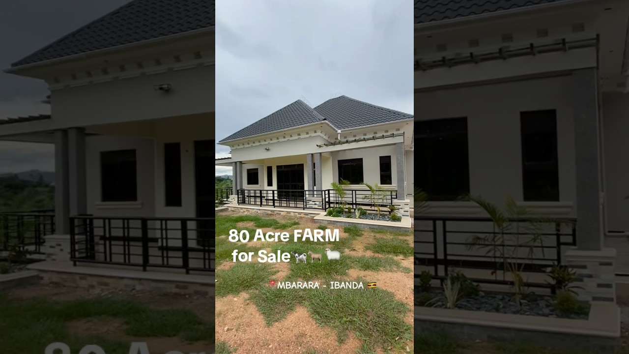 80 Acre FARM HOUSE For Sale in WESTERN UGANDA - IBANDA at $520,000  plus a flowing river 🌊🌊