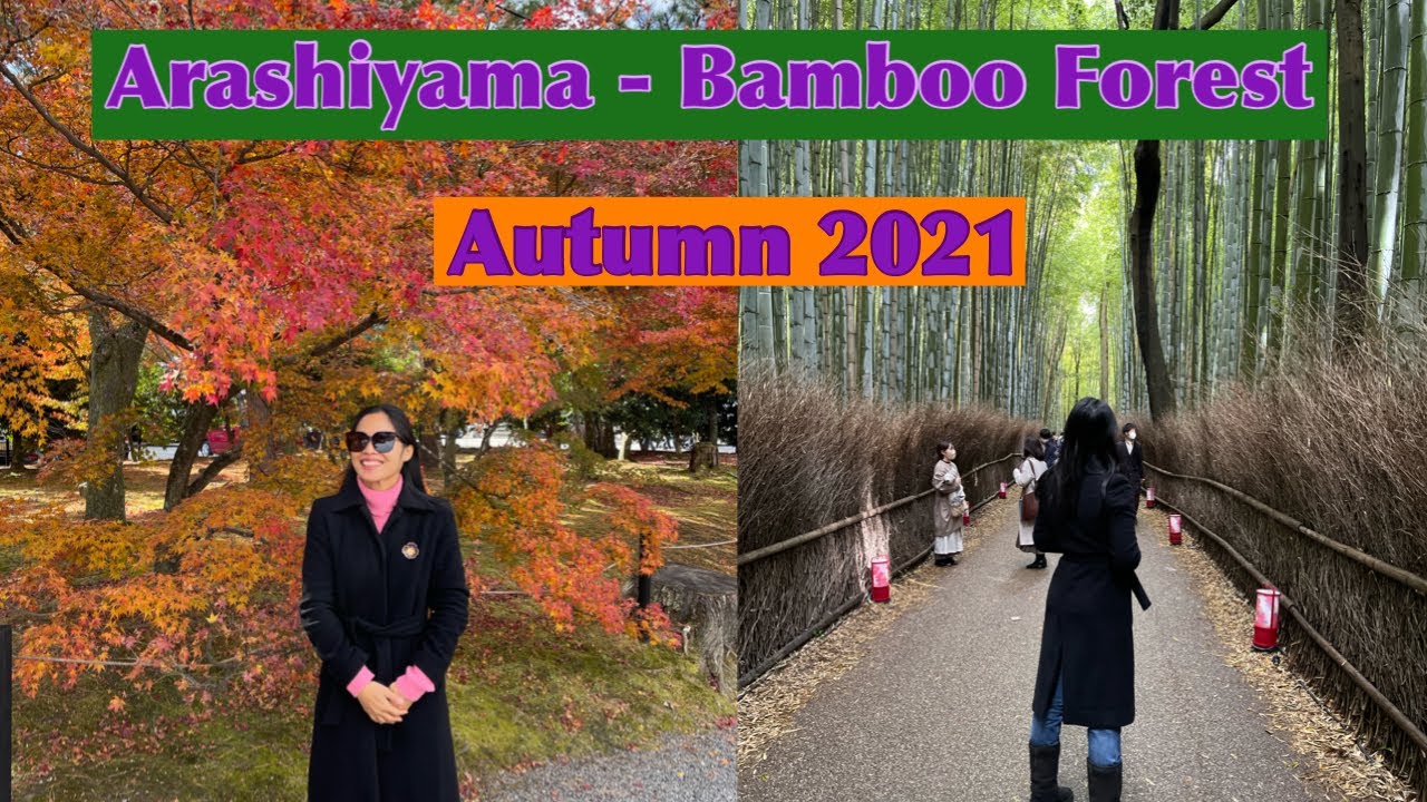 BAMBOO FOREST (ARASHIYAMA - KYOTO)  AUTUMN  2021