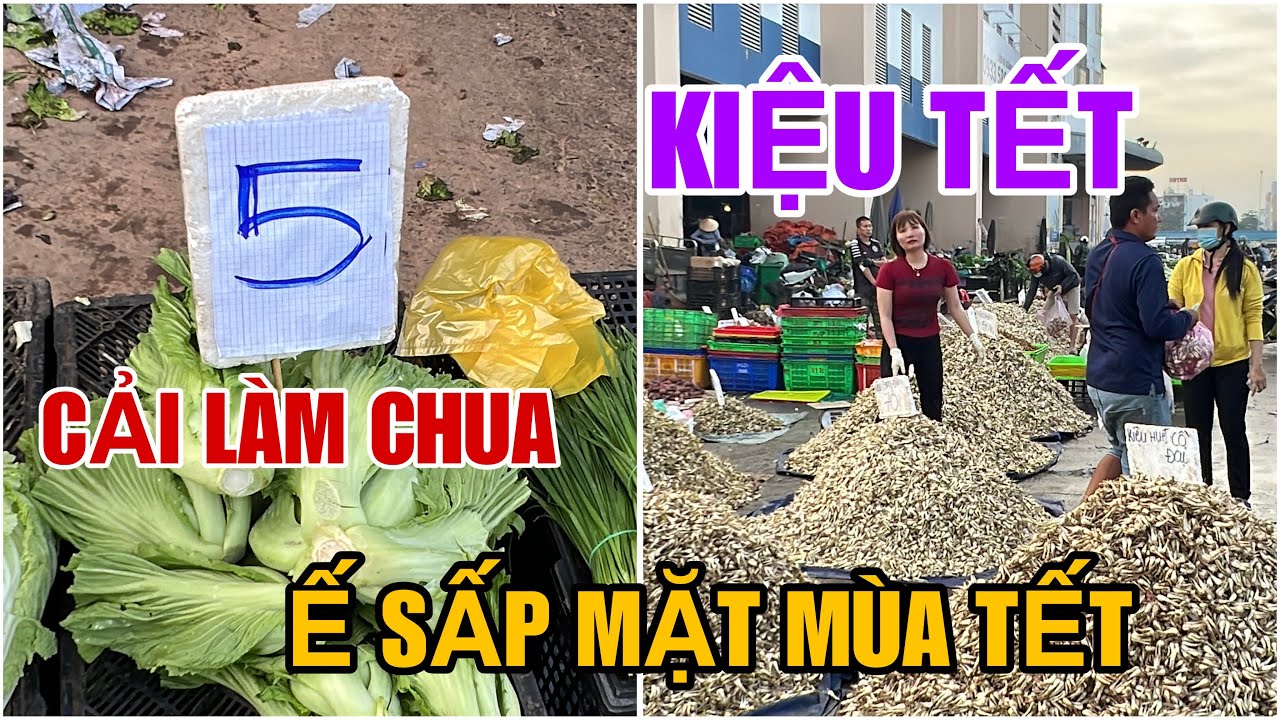 Tập 2810 KIỆU TẾT CẢI LÀM CHUA Ế SẤP MẶT NĂM NAY