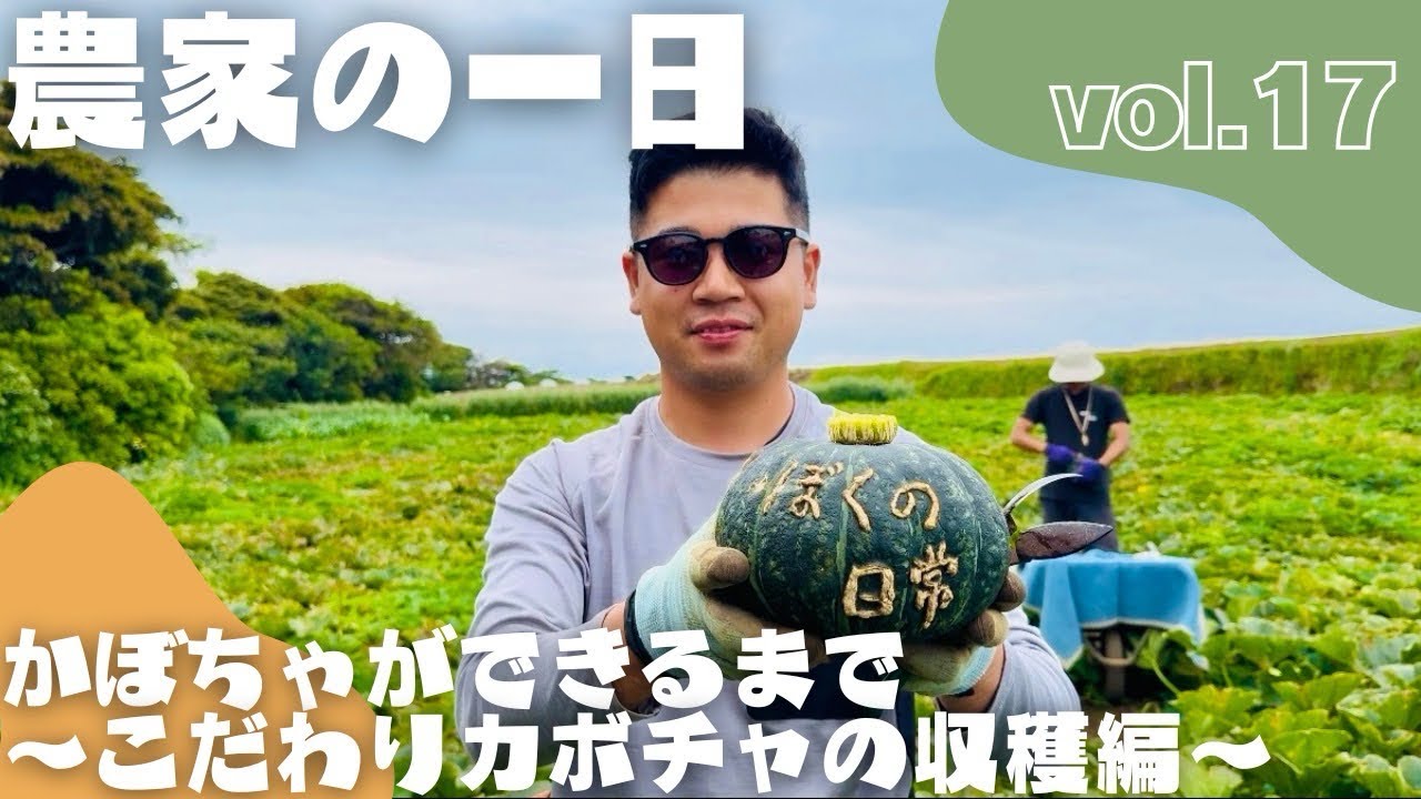 【農作業】農家の一日　かぼちゃができるまで〜こだわりカボチャの収穫編〜