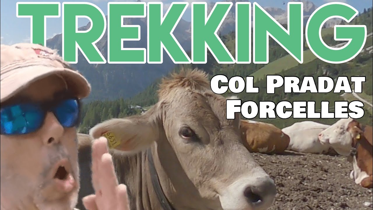 Escursione Trekking ad anello: Colfosco, Col Pradat, Forcelles