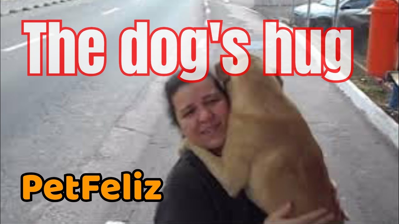 Cão Abandonado,  apavorado, se entrega nos braços da Protetora, Petfeliz protegendo os animais