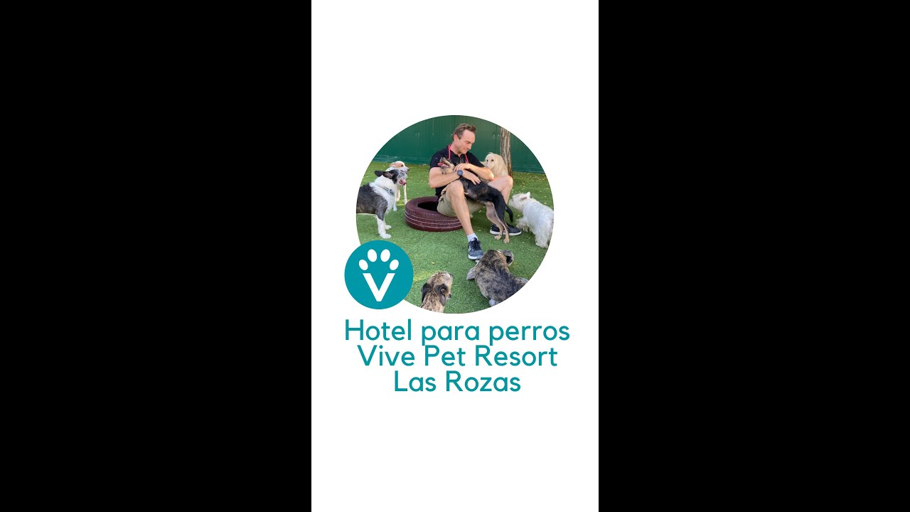 Instalaciones Vive Pet Resort Las Rozas - Hotel para perros Madrid