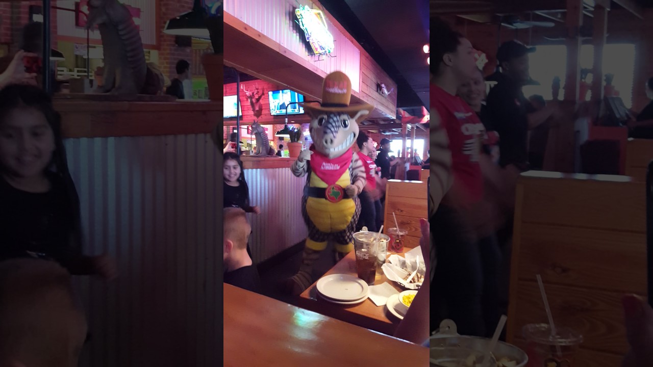 Andy Armadillo Dance Moves