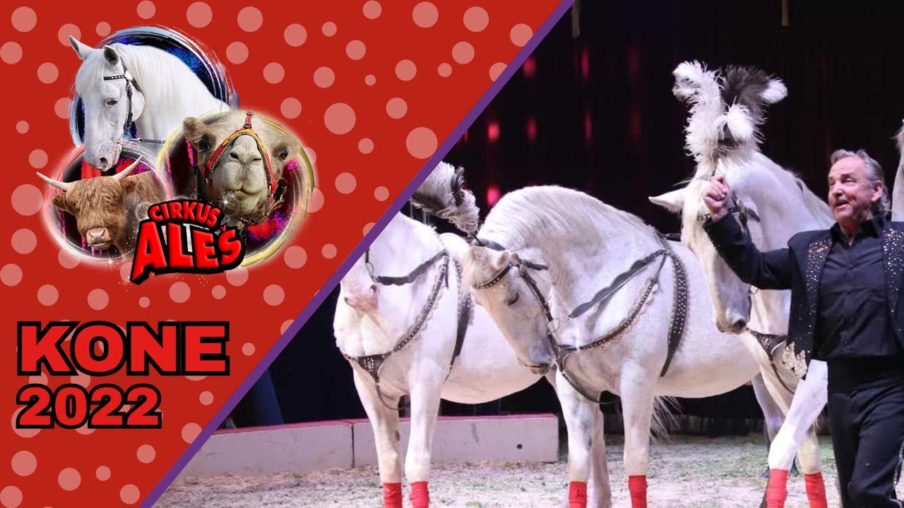 Kone - Cirkus Aleš - Bratislava 2022