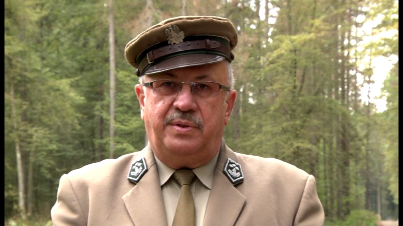 Prosto z lasu, odcinek 20/16