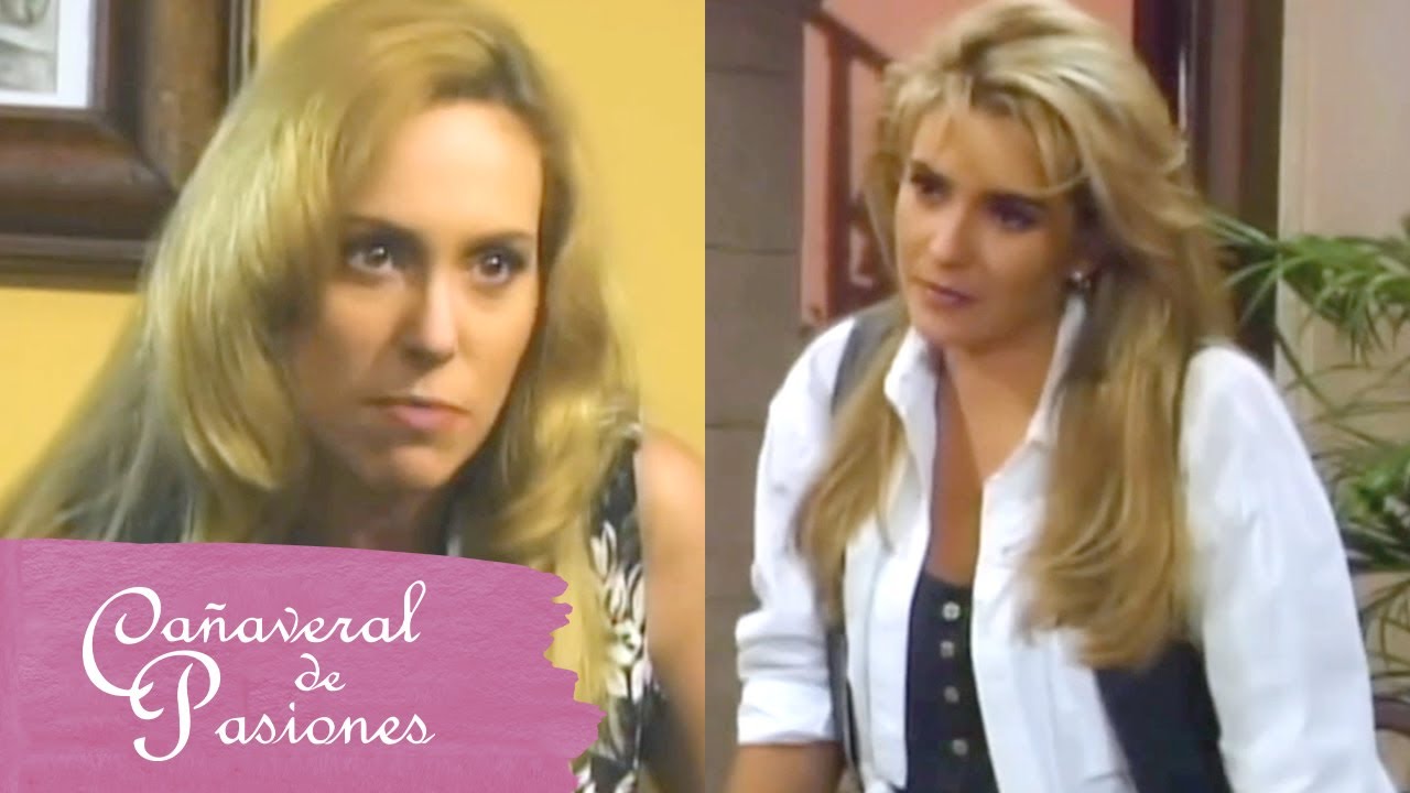 Cañaveral de pasiones: Julia y Dinorah se declaran la guerra | C-71 | tlnovelas