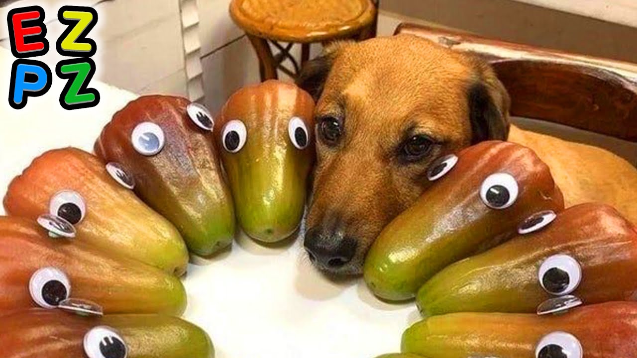 r/Eyebleach · he's hiding