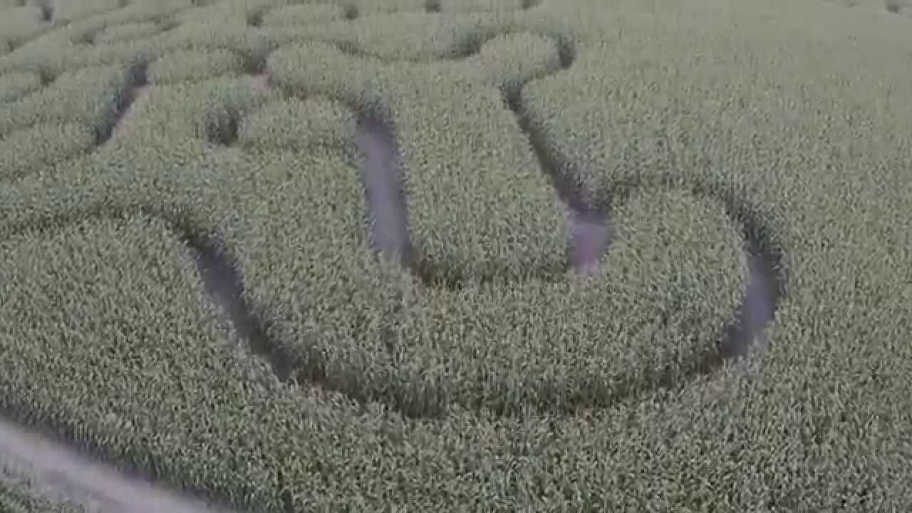 Labyrinth im Maisfeld