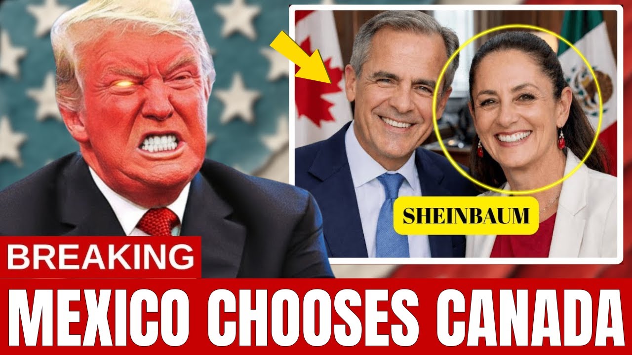 Mexico Just Said YES to Canada's Boldest Move Against the US | Wolff Responds