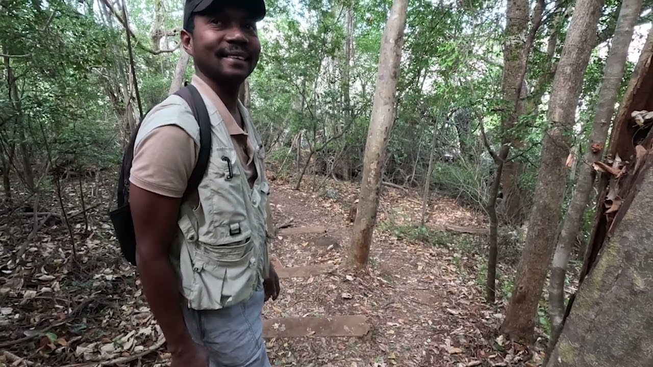 Ankarana National Park Suspension bridge