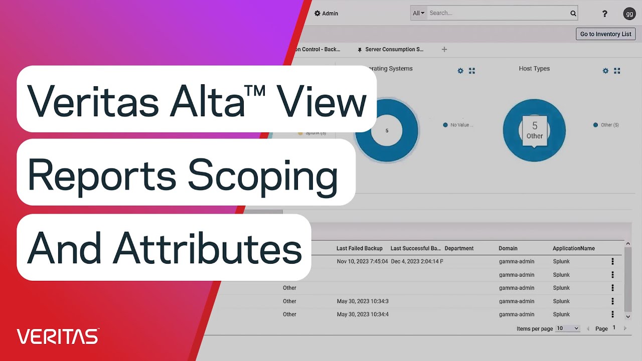 Veritas Alta™ View Reports Scoping and Attributes